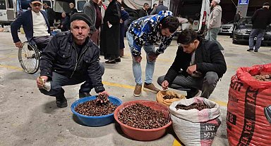 Kuzu kestane sıkı pazarlıklarla alıcı buluyor