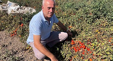 Londra'da kazandıklarıyla memleketine toprak yatırımı yaptı