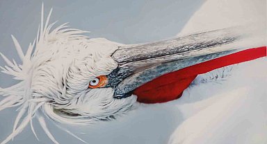 Malatya'da 'Kuşların Dünyası' sergisi yoğun ilgi gördü