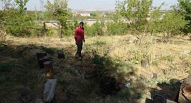 Malatya'da kayısı bahçesinde obruk oluştu