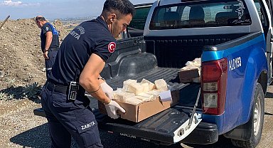 Manisa'da 49 kilo bozuk peynir imha edildi