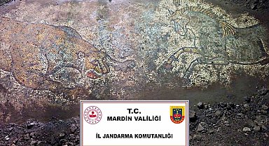 Mardin'de "Anadolu Mirası" operasyonunda 1500 yıllık mozaik ele geçirildi