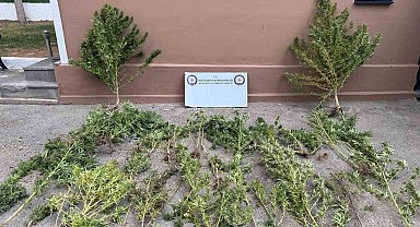 Mardin'de uyuşturucu operasyonu: 3 gözaltı