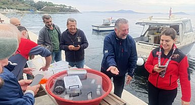 Marmara'da 400 ıstakoz yavrusu yapay resiflere bırakıldı