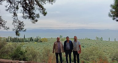 Marmarabirlik'ten 'anıt zeytin ağaçları'na özel marka vizyonu