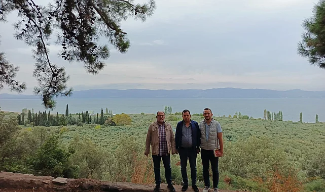 Marmarabirlik'ten 'anıt zeytin ağaçları'na özel marka vizyonu