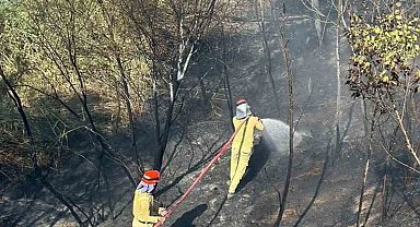 Mersin'de bahçe yangını büyümeden söndürüldü