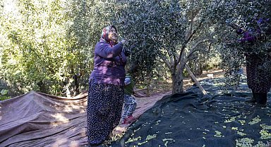 Mersin'de kadınlar üreterek güçleniyor