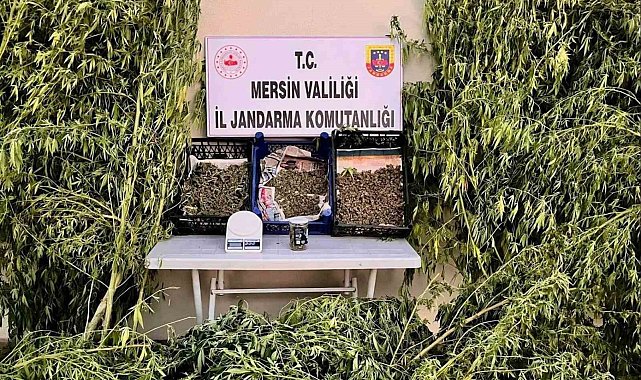 Mersin'de uyuşturucu operasyonu