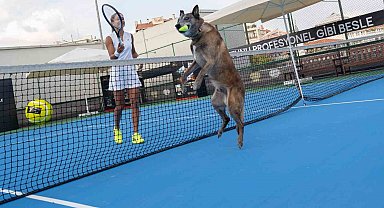 Milli Tenisçi Büyükakçay, patili dostu ile tenis oynadı