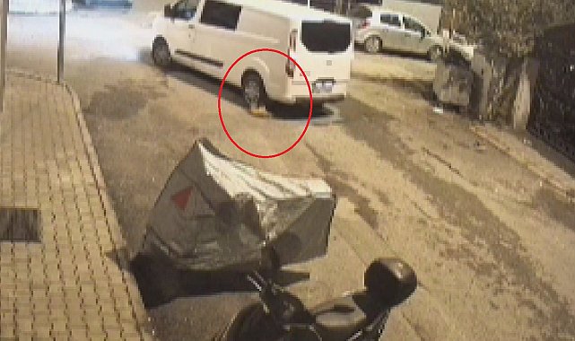 Minibüs sürücüsünün ezdiği kediye aldırış etmeden yoluna devam ettiği anlar kamerada