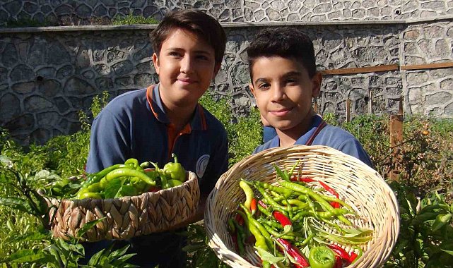 Minik eller, turşuyla büyük işlere imza atıyor