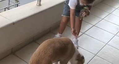 Minik Gökçe'den örnek davranış