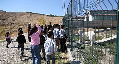 Minik öğrenciler patili dostlarını ziyaret etti