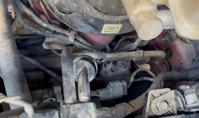 Motorda mahsur kalan yavru kedileri itfaiye kurtardı