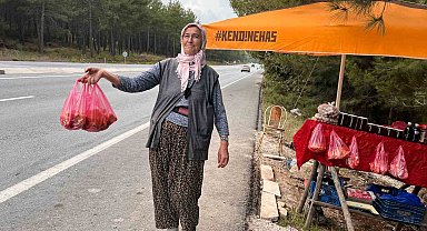 Muğla'da çıntarlar tezgahtaki yerini aldı