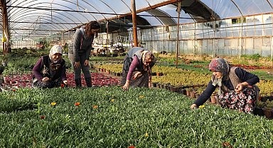 Muğla'da kadın emeğiyle gelecek inşa ediliyor