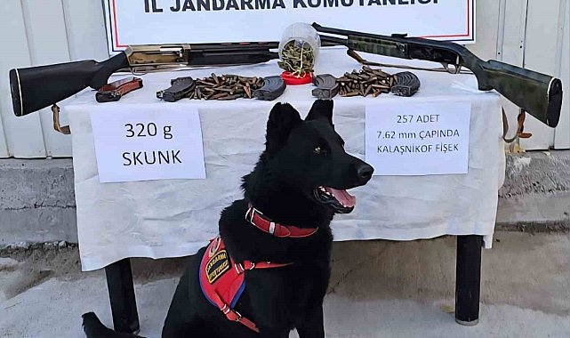 Muş'ta jandarmadan uyuşturucu ve silah operasyonu