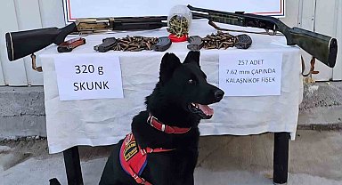 Muş'ta jandarmadan uyuşturucu ve silah operasyonu