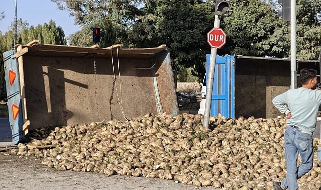 Muş'ta şeker pancarı yüklü traktör devrildi