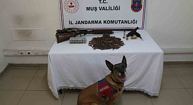 Muş'ta tezek yığınının altından silah ve mühimmat çıktı