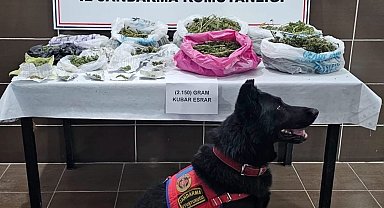 Muş'ta uyuşturucu operasyonu: 1 gözaltı