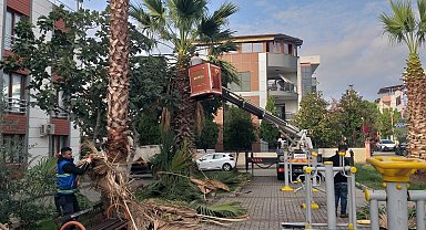 Nazilli Belediyesi'nden 12 mahallede eş zamanlı çalışma