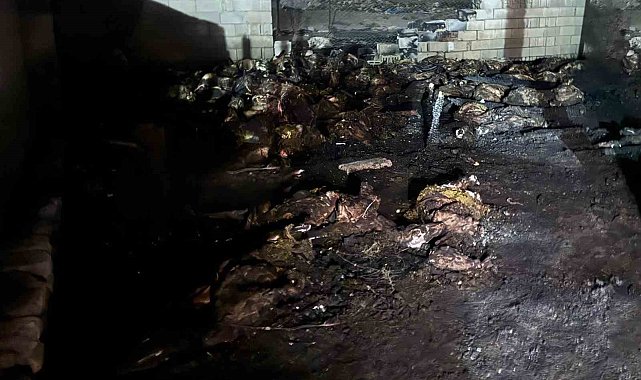 Niğde'de ahır yangını: 170 koyun telef oldu