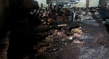 Niğde'de ahır yangını: 170 koyun telef oldu