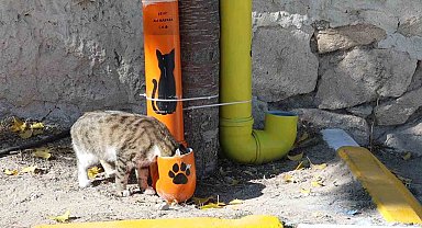 Öğrenciler hem çevre bilincini hem hayvan sevgisini bir araya getirdi