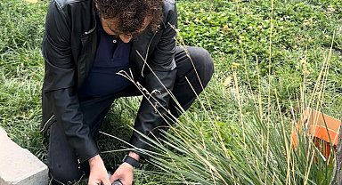 Öğretmenin fark ettiği yaralı güvercin kurtarıldı