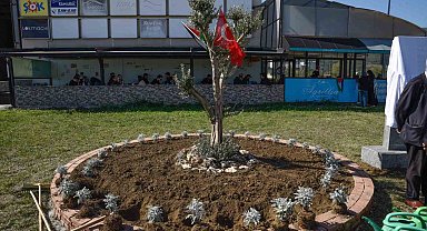 OMÜ'de Filistin için "zeytin ağacı anıtı" dikildi