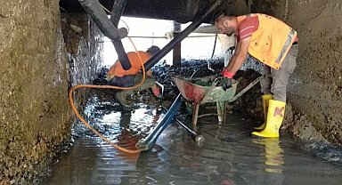 Ordu Fatsa'da tarihi temizlik seferberliği