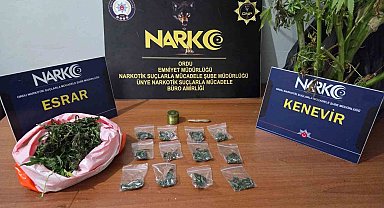 Ordu'da uyuşturucu operasyonlarında 2 tutuklama