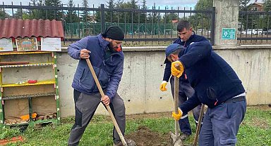Orman yangınları sonrası yola çıktı, 71. fidanını Bolu'da dikti