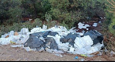 Ormanı çöplük yaptılar