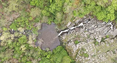 Ormanın içerisindeki şelale görenleri mest ediyor