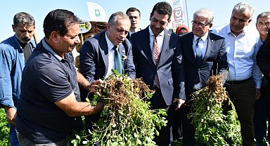 Osmaniye Fıstık Festivali'ne hazırlanıyor