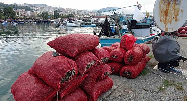 Palamut gibi onun da avı balıkçıları hüsrana uğrattı