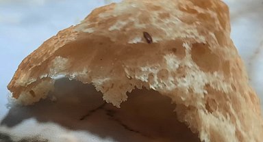 Pamukkale Halk Ekmek'in içerisinden çıkan fare dışkısı ve un kurdu yeni doğum yapan anneyi sütten kesti