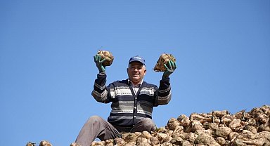 Pancar üretiminde düşüş şeker arzında sorun oluşturmayacak