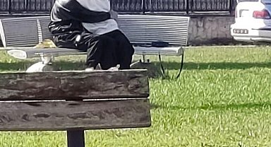 Parkta uygunsuz hareketler tepki çekti: Uyarılara rağmen devam ettiler