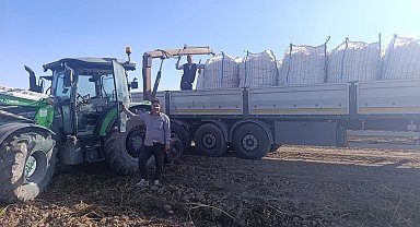 Patnos'ta patates hasadı başladı