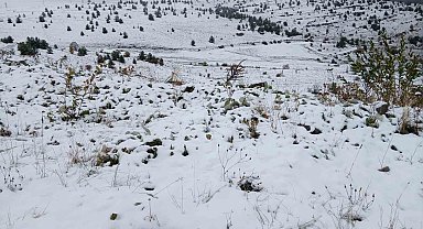 Posof'ta kar yağışı etkili oldu