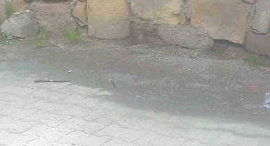 "Seni Kastamonu'da gezdirmem" sözü tahrik sayıldı: 1 kişiyi bıçaklayan baba-oğula indirimli ceza