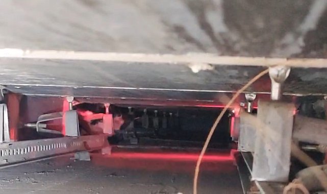 Reklam panosunda mahsur kalan kediyi itfaiye kurtardı