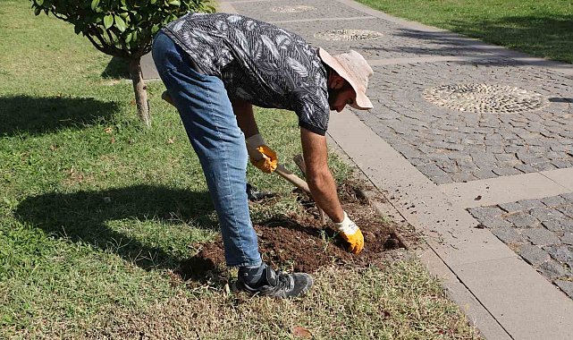Roma döneminden esinlenildi: Diyarbakır Müzesinde 'Sütunlu Yol' dönemi başlıyor