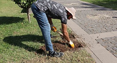Roma döneminden esinlenildi: Diyarbakır Müzesinde 'Sütunlu Yol' dönemi başlıyor