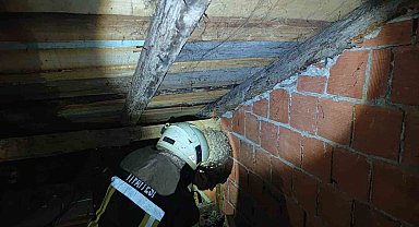 Safranbolu'da evin çatısında yaban arısı paniği