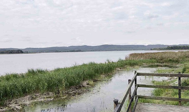 Sakarya'nın alüvyon set gölü can çekişiyor: Su seviyesi 8 metreden 2 metreye düştü